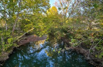 The Little Issues E-newsletter #438 – Life, laughter, and many nice meals!