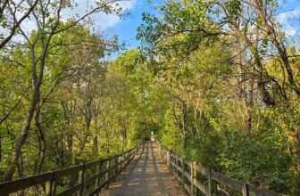 The Little Issues E-newsletter #439 – Life, laughter, and many nice meals!