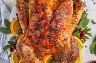 Thanksgiving Turkey – Spend With Pennies