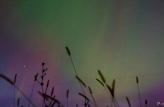 Tips on how to use Photoshop AI’s new distraction removing instrument