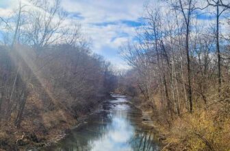 The Little Issues Publication #445 – Life, laughter, and many nice meals!