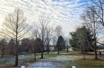 The Little Issues E-newsletter #447 – Life, laughter, and plenty of nice meals!