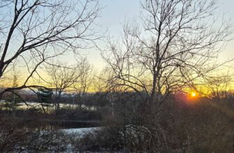 The Little Issues Publication #448 – Life, laughter, and many nice meals!