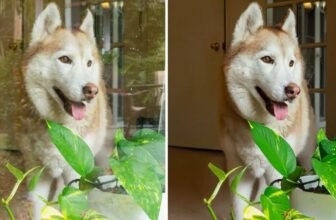 Adobe’s new AI instrument can save photographs with distracting window reflections