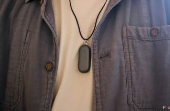 The Plaud NotePin does simply sufficient to make me go away Voice Memos behind