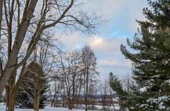 The Little Issues Publication #450 – Life, laughter, and plenty of nice meals!