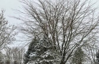 The Little Issues Publication #451 – Life, laughter, and plenty of nice meals!