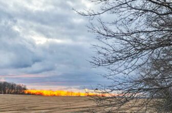 The Little Issues Publication #454 – Life, laughter, and plenty of nice meals!