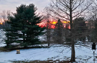 The Little Issues E-newsletter #455 – Life, laughter, and many nice meals!