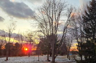 The Little Issues Publication #459 – Life, laughter, and plenty of nice meals!