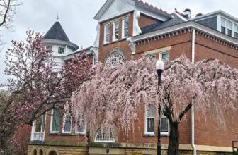 The Little Issues E-newsletter #463 – Life, laughter, and plenty of nice meals!