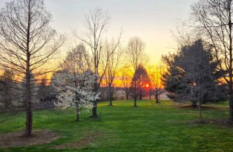 The Little Issues Publication #464 – Life, laughter, and many nice meals!