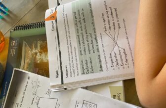 Our homeschool curriculum – The Fitnessista