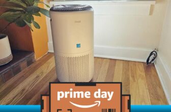 Our favourite air air purifier is $37 off proper now